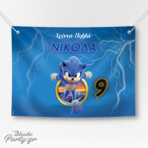 Backdrop party Sonic